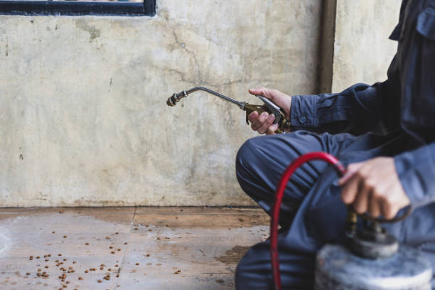 Best Termite Control Services  in Villa Hills, KY